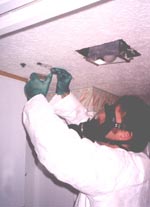 Mold Safety